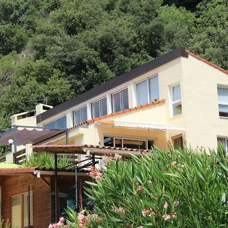 Mas Solar D'En Malcion Villa Amélie-les-Bains-Palalda Exterior photo